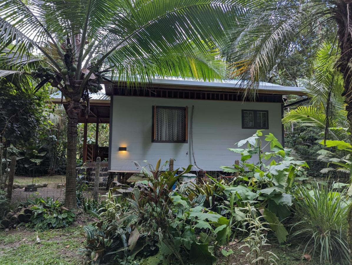 Casita Bribri At Margarita Hills Villa Cocles Exterior foto